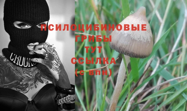 МДПВ Арсеньев