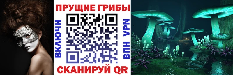 Псилоцибиновые грибы Psilocybine cubensis  где продают наркотики  МЕГА   Бабушкин 